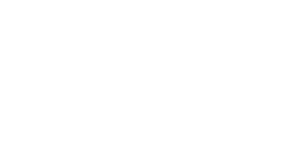 LOGO TT CAPITAL